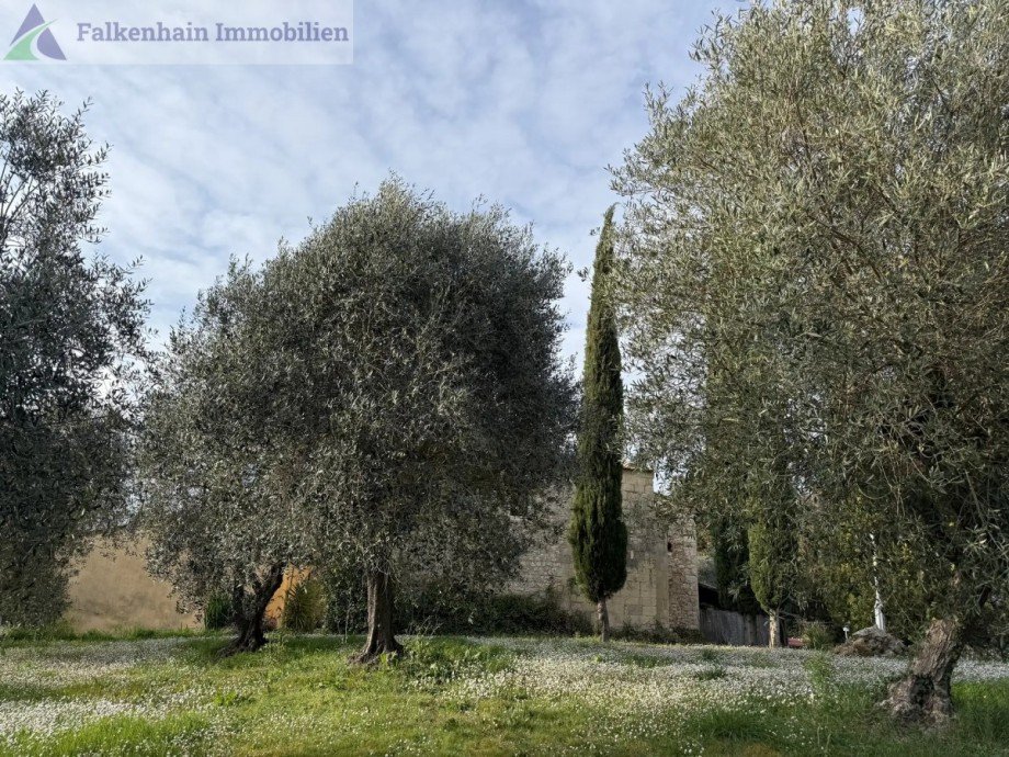 IMG_1530 Haus Casciana Terme