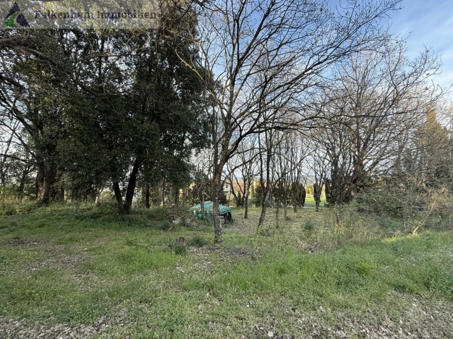 IMG_1608 Haus Casciana Terme