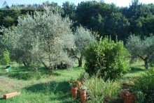 Ausblick Traumhaftes Toskana-Podere in Alleinlage mit Panoramablick!
