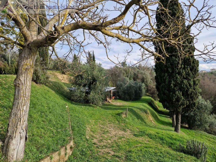  Haus Montopoli in Val d'Arno
