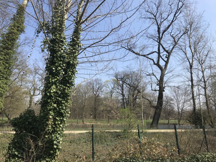 Blick zum Schlo�park Etagenwohnung Berlin
