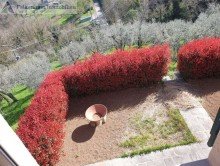 Blick zur Gartenterrasse Charmantes Haus mit Blick �ber die malerische Landschaft der Toskana zwischen Florenz & Lucca!
