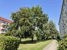 Gr�nfl�che vor dem Haus Sch�ne 3 Zi.- Wohnung, frisch gewei�te W�nde und Balkon in ruhiger Lage von Bad Lausick!