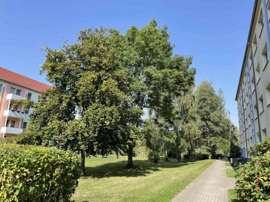 Gr�nfl�che vor dem Haus Etagenwohnung Bad Lausick