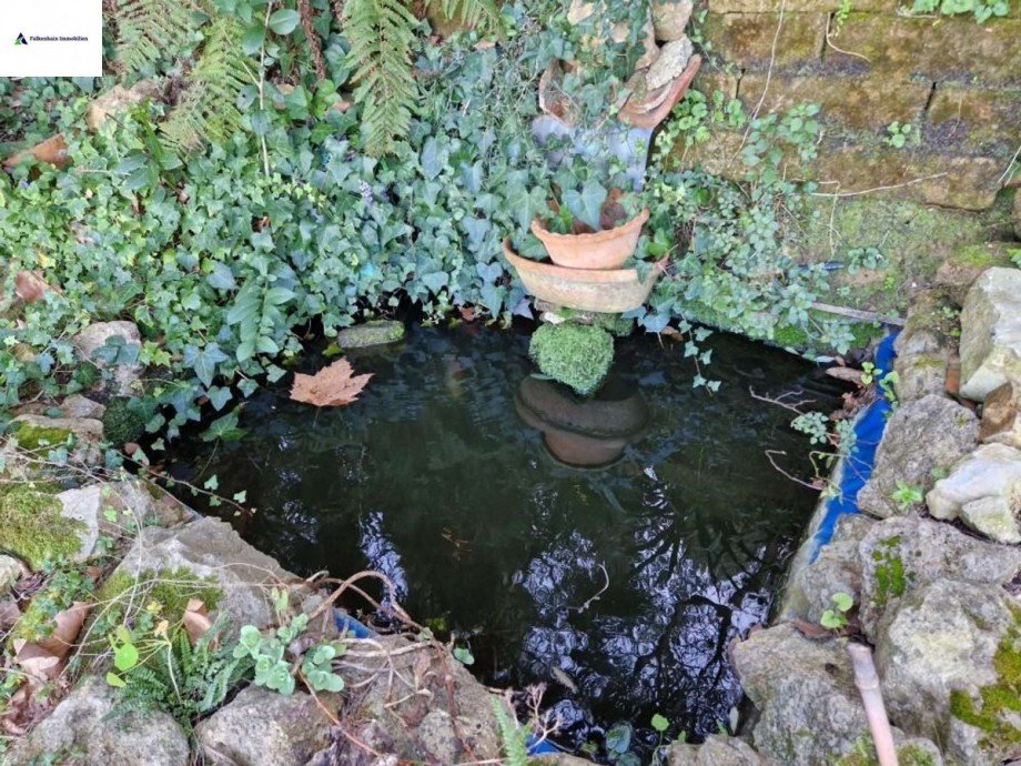 Teich Wohnung Lari