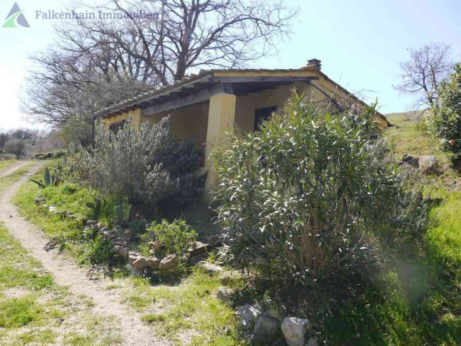 Podere_Pferdehof_70 Haus Scansano