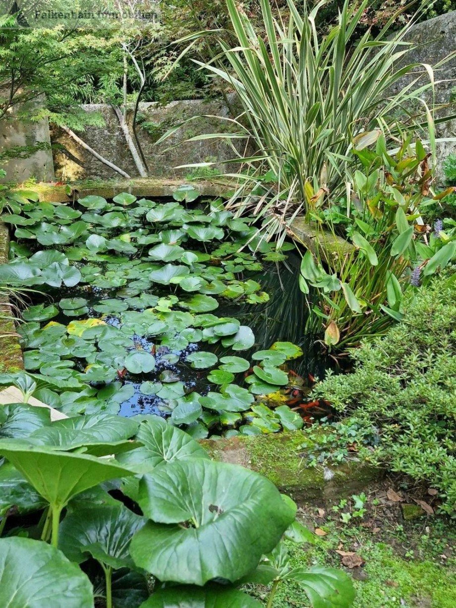 Details Haus Asciano