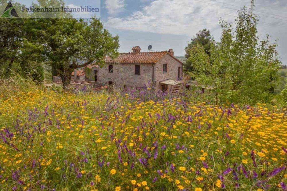 Podere_Pferdehof_63 Haus Scansano