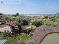 Bild (6ac2264b00fa8db53b9a0f15c539dd7b): Traumhaftes Anwesen in malerischer H�gellage, 5000m� Grundst�ck u. Blick zum schiefen Turm von Pisa!