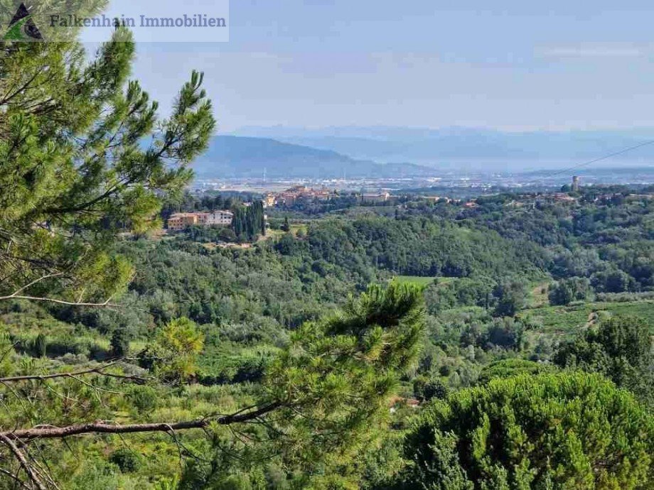 Landhaus_Palme_48 Haus Casciana Terme Lari
