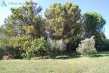 Anwesen Traumhaftes Toskana-Podere in Alleinlage mit Panoramablick!