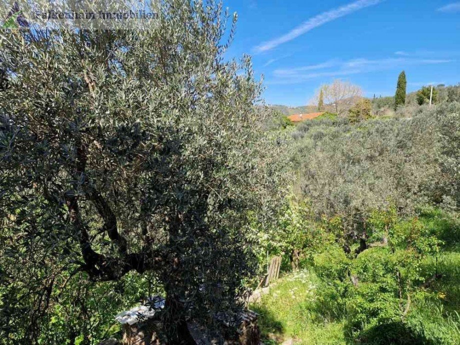 Hausteil_Naturstein_Toscana_43 Haus Vinci