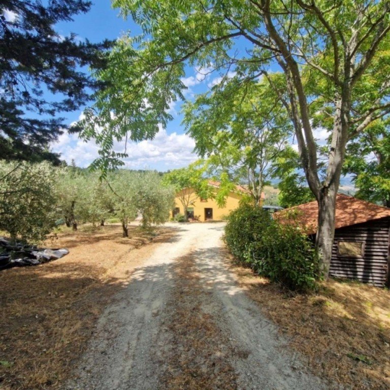 Zufahrt Rivalto Haus Traumhaftes Landhaus! Panoramalage in der Toskana - zwischen Pisa, Lucca und den apuanischen Alpen