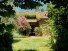 Hauptbild La Dolce Vita pur - Historisches Natursteinhaus mit Weinberg, Olivenhain & Pool bei Vinci !