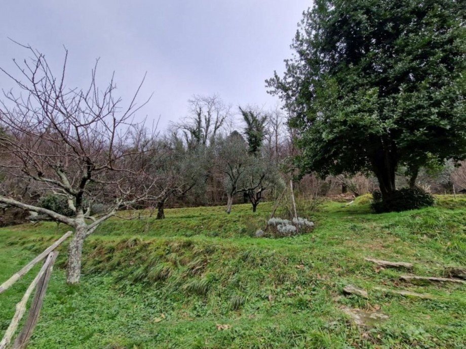 Gartenansicht Haus Ripa- Pozzi-Ponterosso