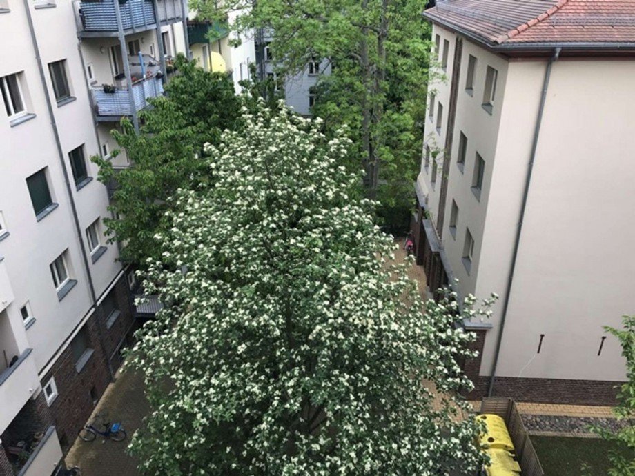 Ausblick Wohnung Leipzig