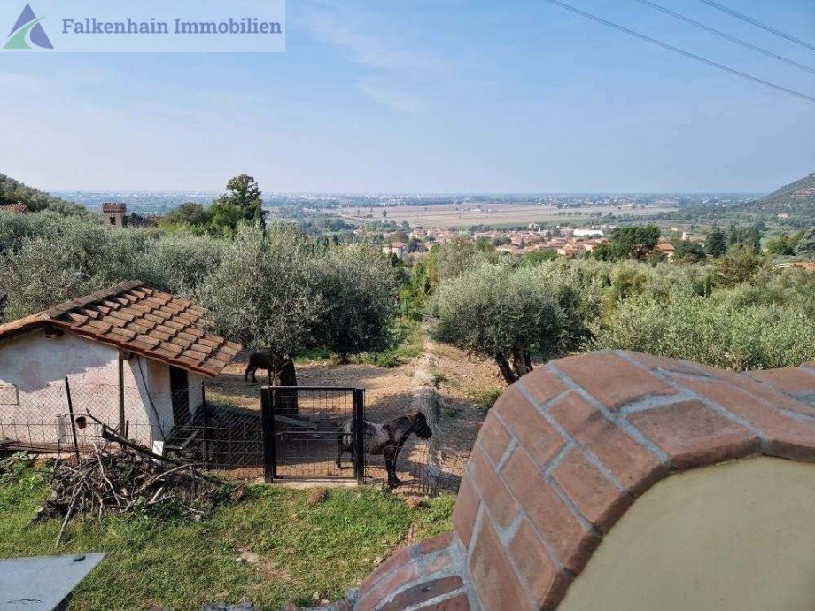 Blick Haus Asciano