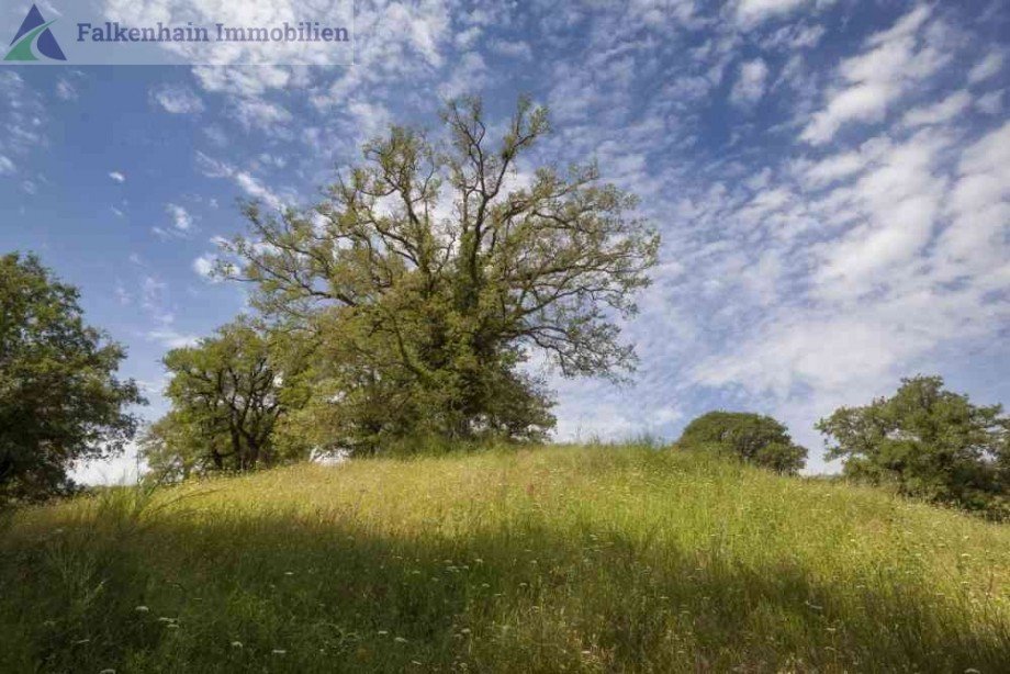Podere_Pferdehof_64 Haus Scansano