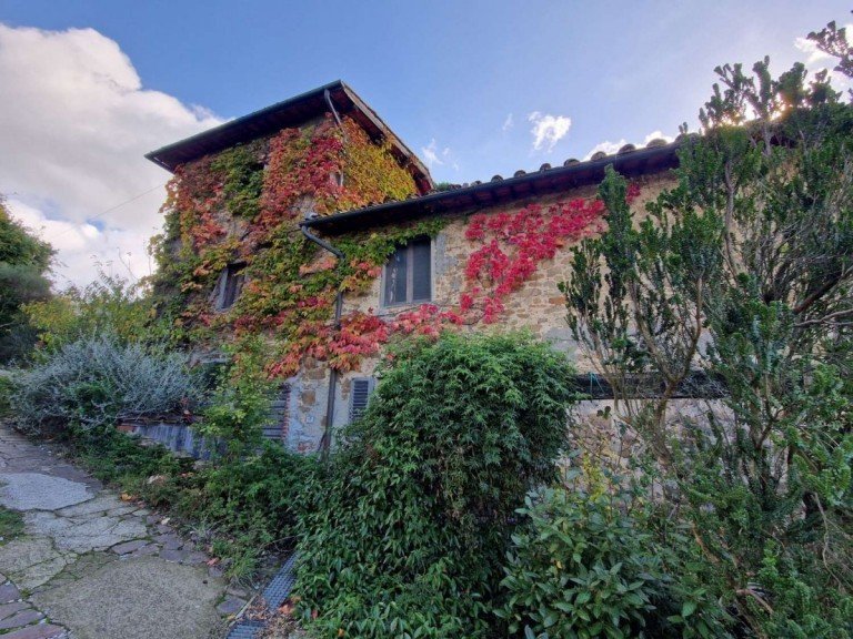 76LAzienda_-agricola_Toskana (1) Lamporecchio Haus Ein toskanisches Herzenspl�tzchen - Olivenhain, Panoramablick und pure Lebensqualit�t!