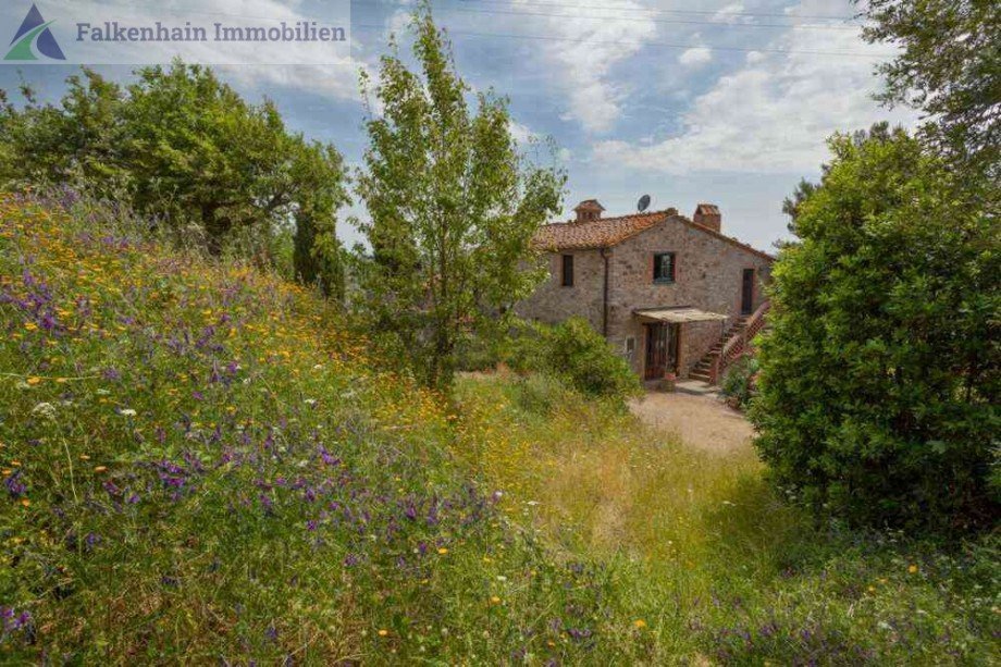 Podere_Pferdehof_62 Haus Scansano