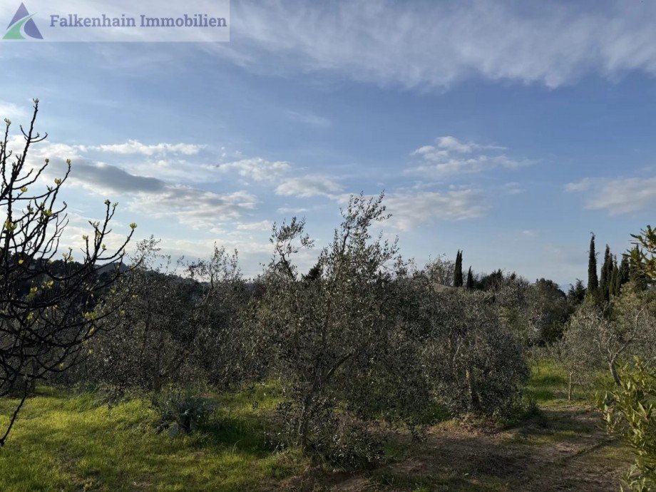 IMG_1610 Haus Casciana Terme