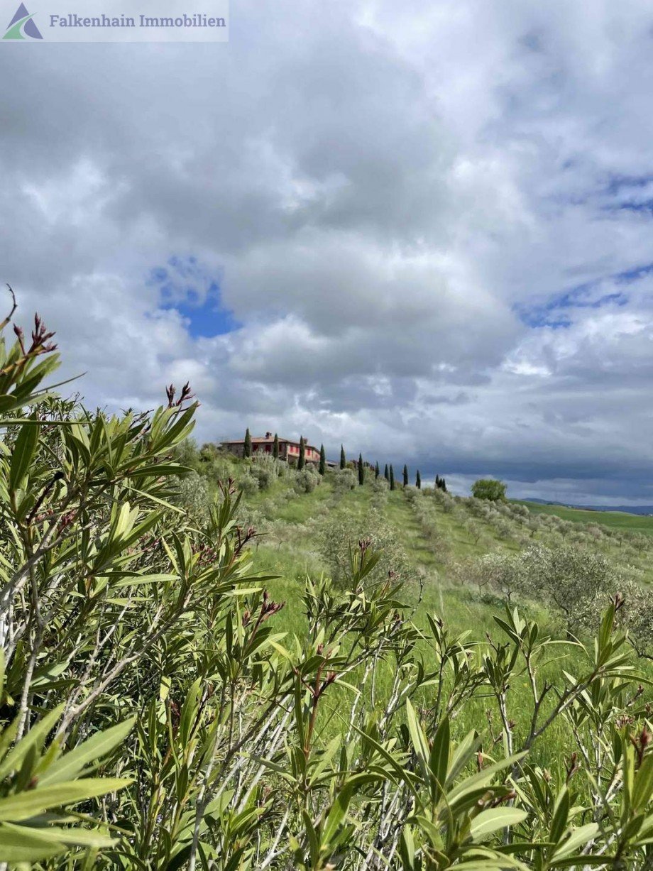 Blick zum Anwesen Haus Chianni