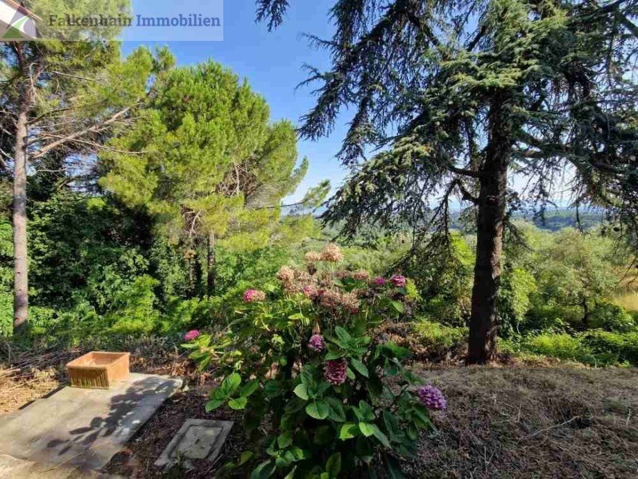 Landhaus_Palme_59 Haus Casciana Terme Lari