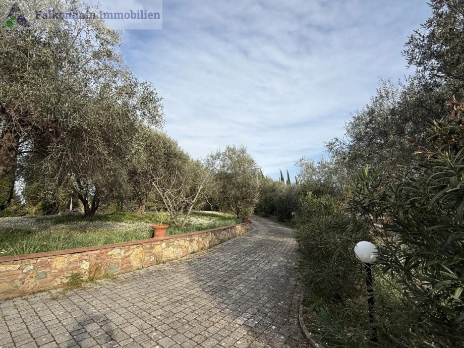 IMG_1536 Haus Casciana Terme