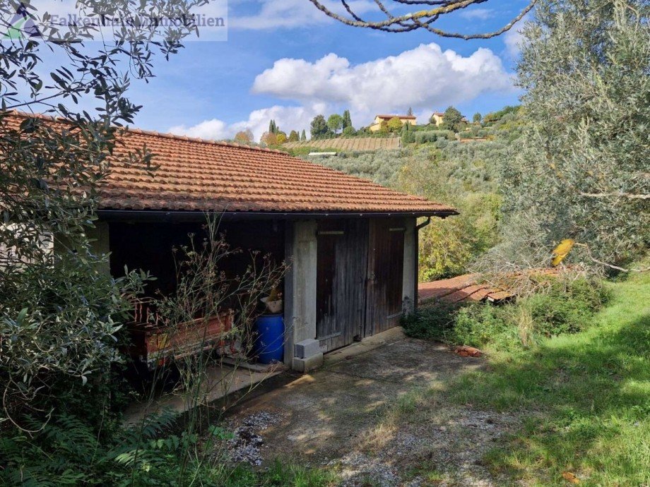 100LAzienda_-agricola_Toskana Haus Lamporecchio