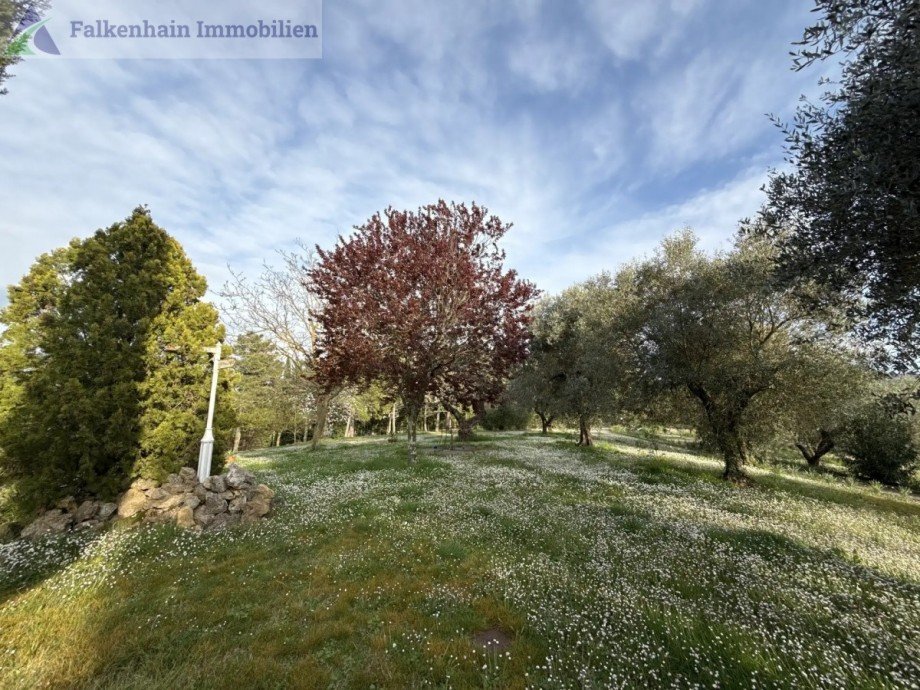 IMG_1565 Haus Casciana Terme