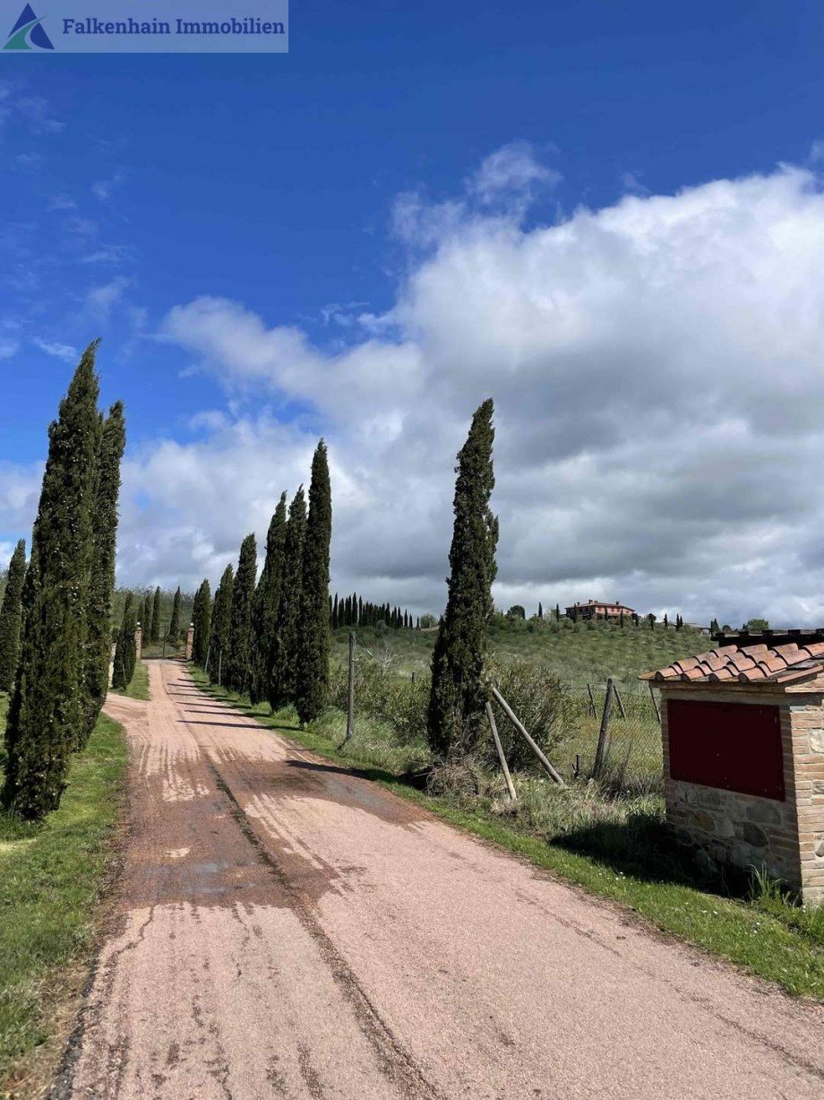 Auffahrt Haus Chianni