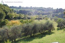 Anwesen Traumhaftes Toskana-Podere in Alleinlage mit Panoramablick!