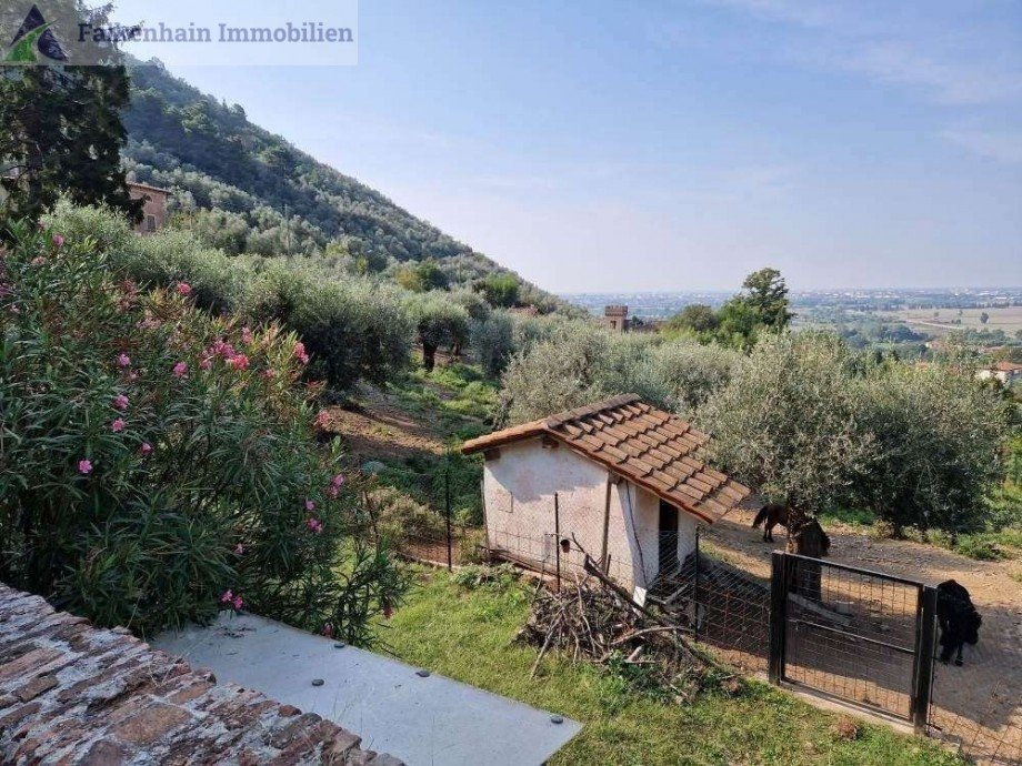Blick Haus Asciano