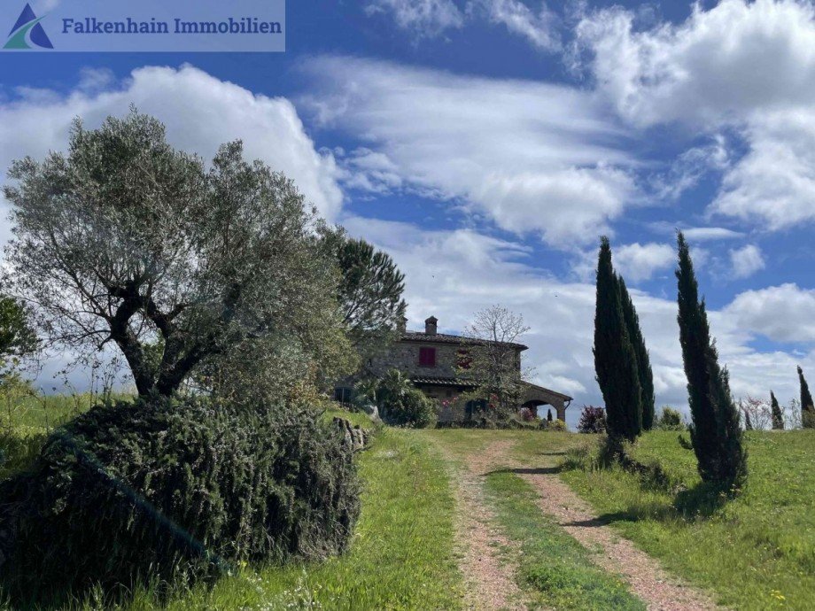 Auffahrt Haus Chianni