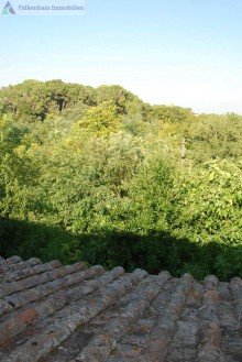 Ausblick Traumhaftes Toskana-Podere in Alleinlage mit Panoramablick!