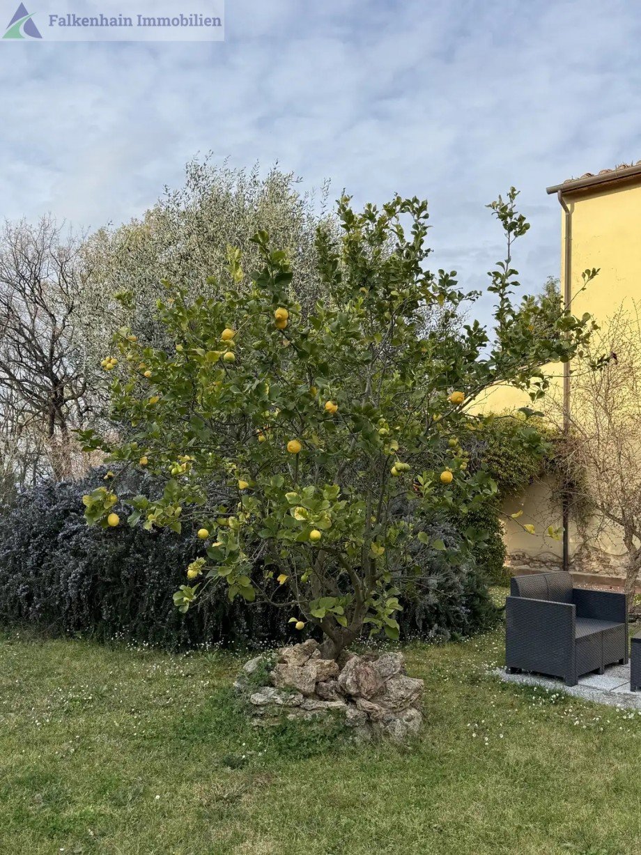 IMG_1542 Haus Casciana Terme